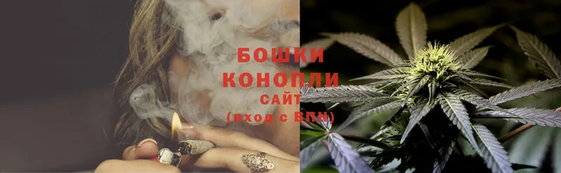 цена наркотик  Каргополь  Канабис SATIVA & INDICA 